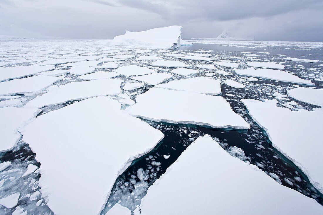 The Lindblad Expeditions ship National Geographic Explorer pushes through ice in Crystal Sound, south of the Antarctic Circle  This area is full of flat first year sea ice, well developed icebergs, with many open leads