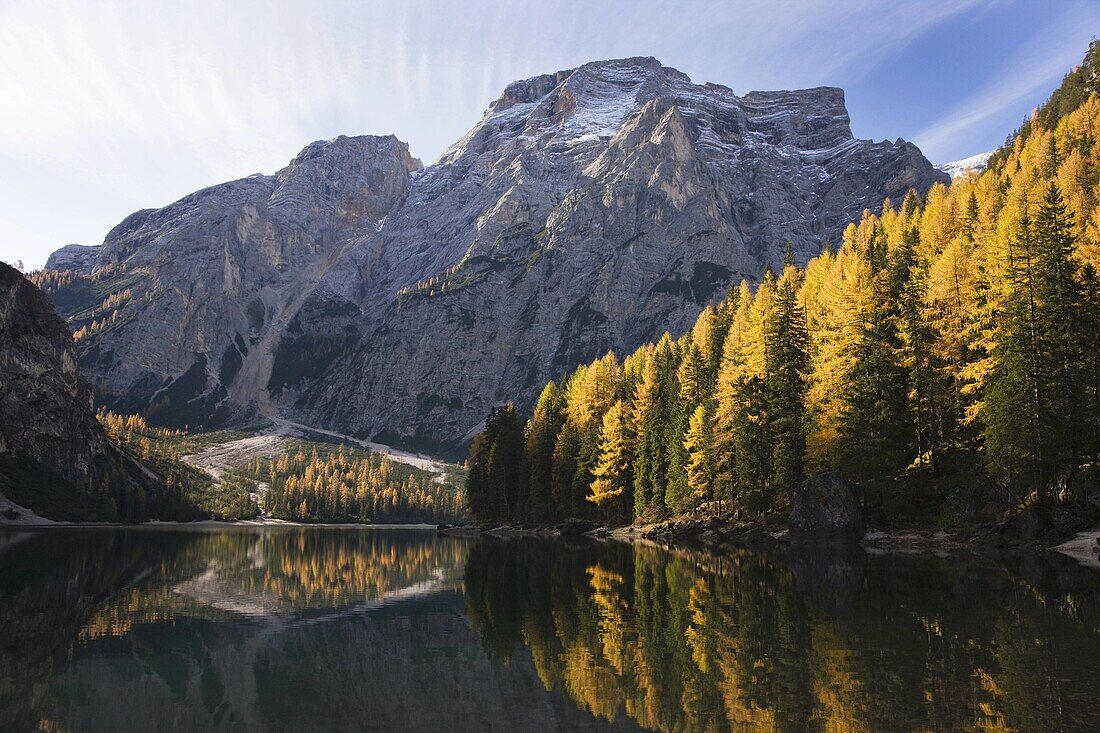 The Pragser Wildsee Lake Prags, Lago die Braies is one of the main toruist attractions in South Tyrol  In late fall the yellow larch trees are reflecting in the dark water of the lake     Prags, Nature Park Fanes Sennes Prags, South Tyrol, Alto Adige, Ita