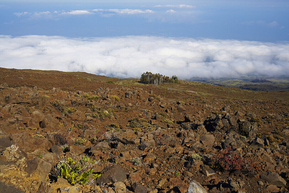 View from Haleakala volcano in the morning, Leleiwi Overlook, Maui, Hawaii, USA, America
