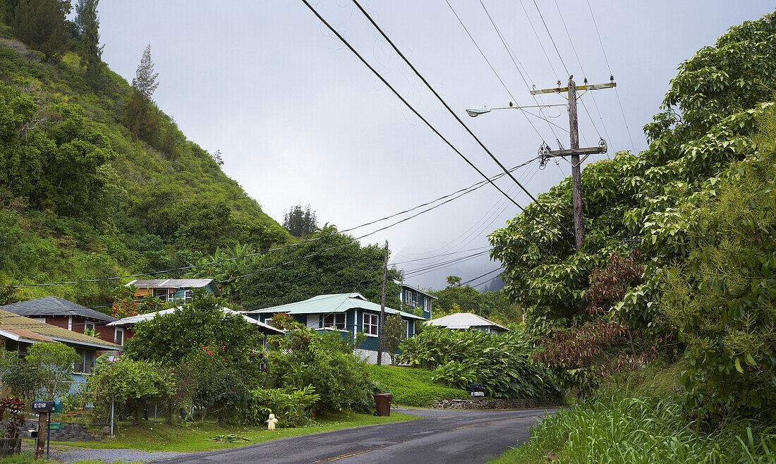 Houses and rainforest at 'Iao Valley, Maui, Hawaii, USA, America