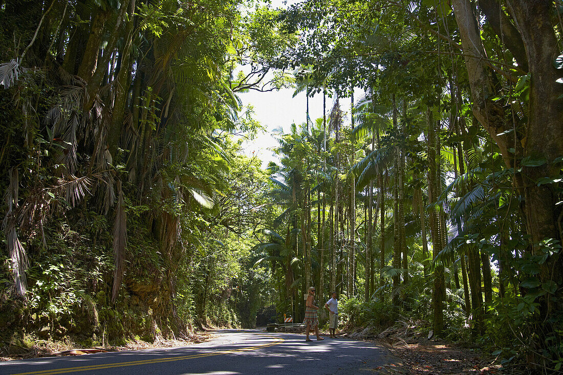 Menschen auf Strasse im tropischen Wald, Big Island, Hawaii, USA, Amerika