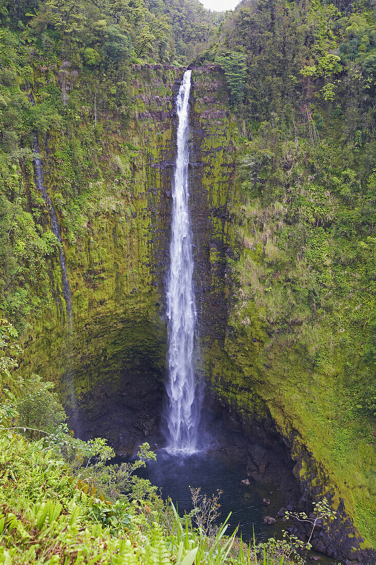 Blick auf Wasserfall im Akaka Falls State Park, Big Island, Hawaii, USA, Amerika