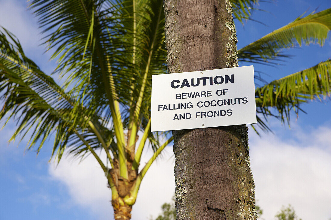 Warning sign on a tree at Kapa' au, Big Island, Hawaii, USA, America