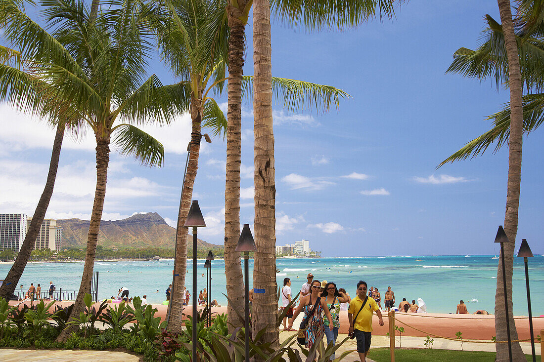 People and palm trees on the beach, Diamond Head, Waikiki Beach, Honolulu, Oahu, Hawaii, USA, America
