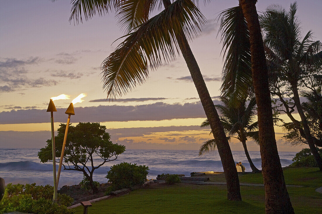 Palmen an der North Shore bei Sonnenuntergang, Turtle Bay, Oahu, Hawaii, USA, Amerika