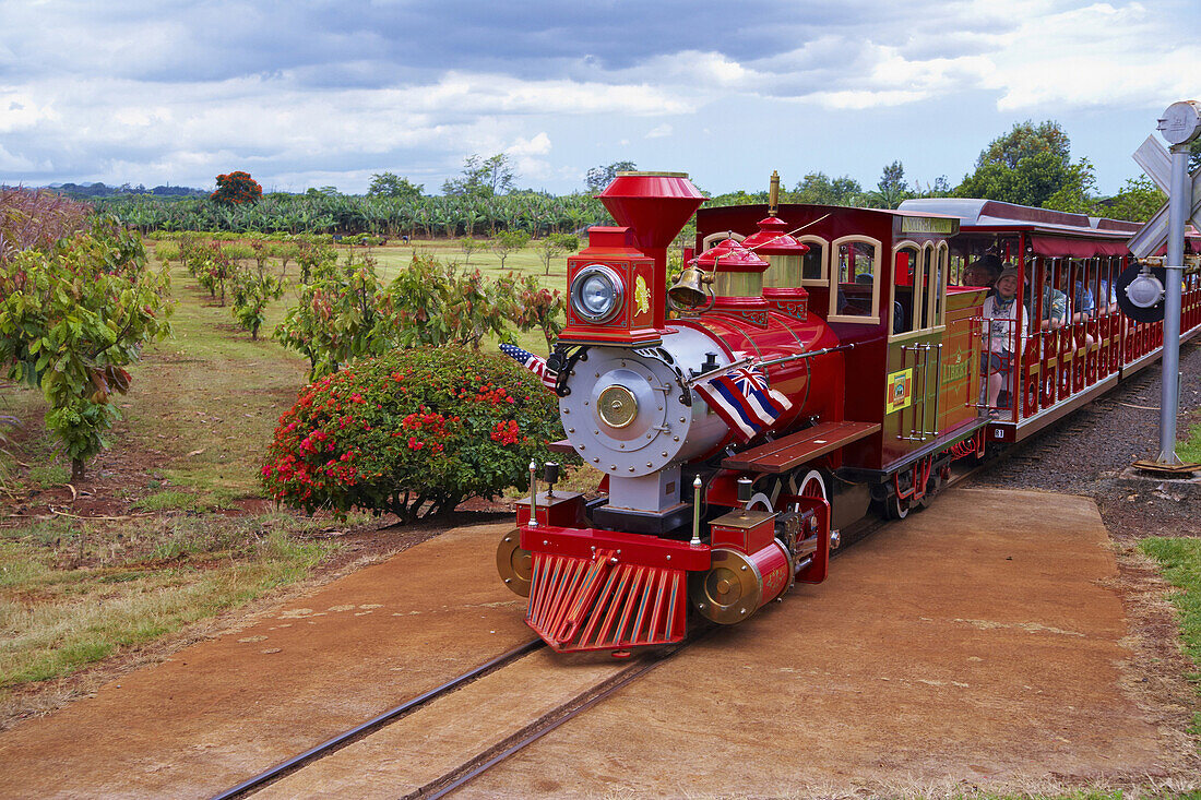 People inside Pineapple Express Train at the Dole Plantation Hawaii, Oahu, Hawaii, USA, America