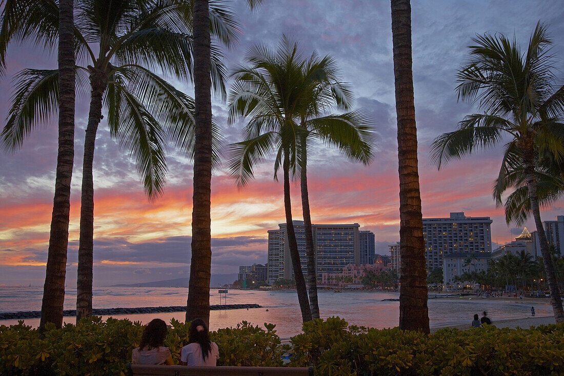 People and palm trees at Waikiki Beach at sunset, Honolulu, Oahu, Hawaii, USA, America