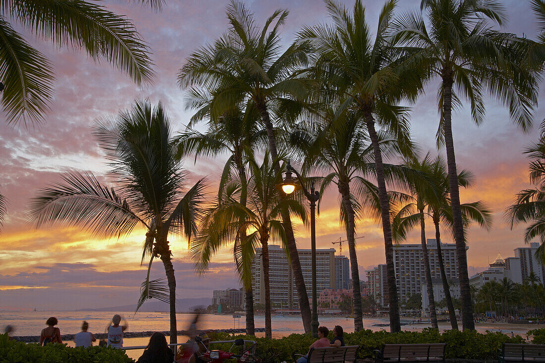 People and palm trees at Waikiki Beach at sunset, Honolulu, Oahu, Hawaii, USA, America