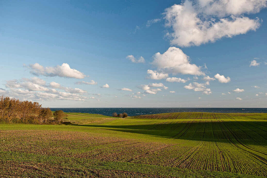 Scenery near Danisch Nienhof, Schleswig-Holstein, Germany