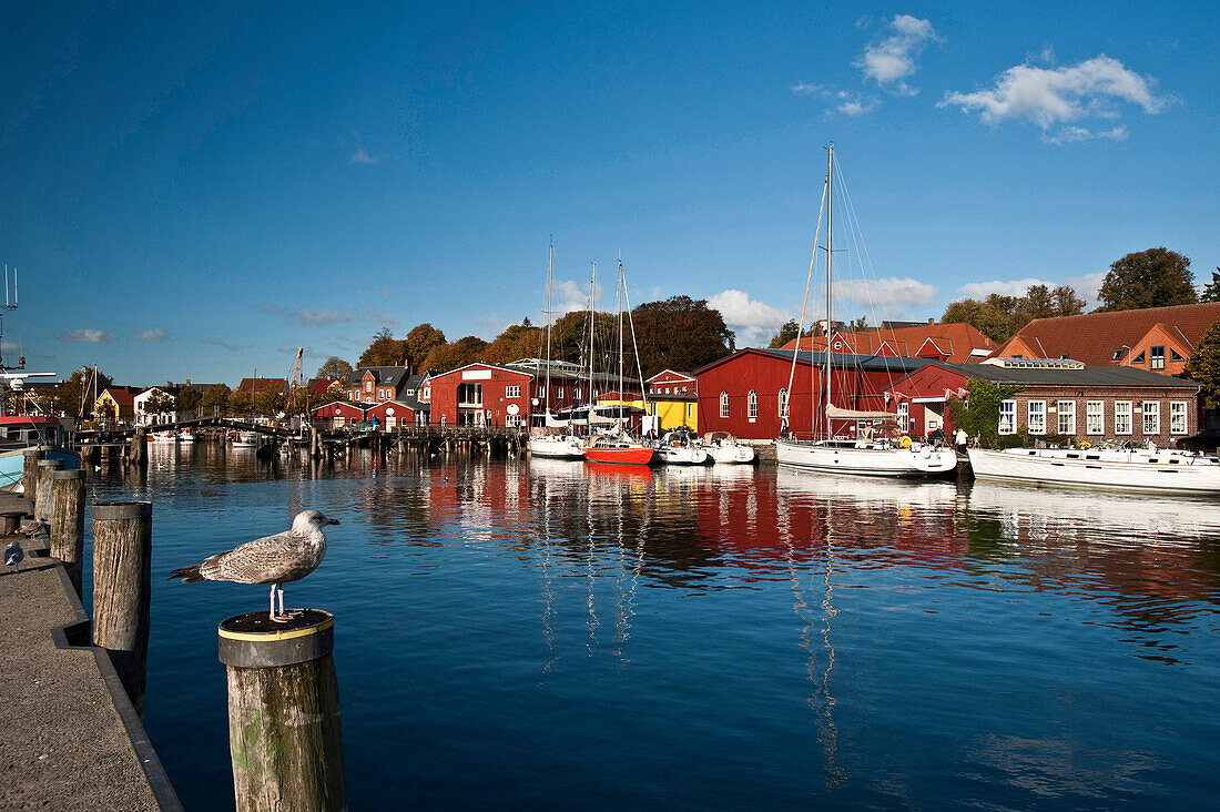 Hafen, Eckernförde, Schleswig-Holstein, Deutschland