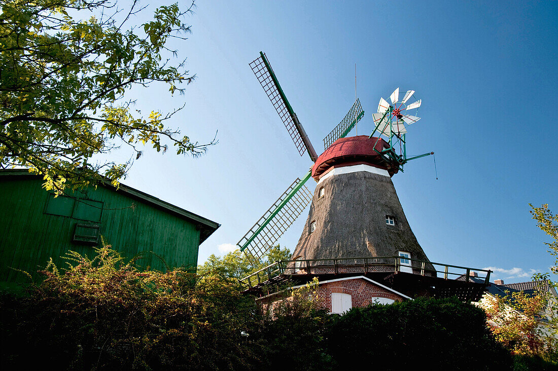 Galerie-Holländer-Windmühle, Lindau, Boren, Schlei, Schleswig-Holstein, Deutschland