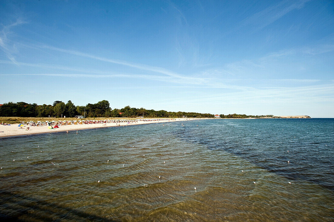 Beach of Boltenhagen, Bay of Mecklenburg, Mecklenburg-Vorpommern, Germany