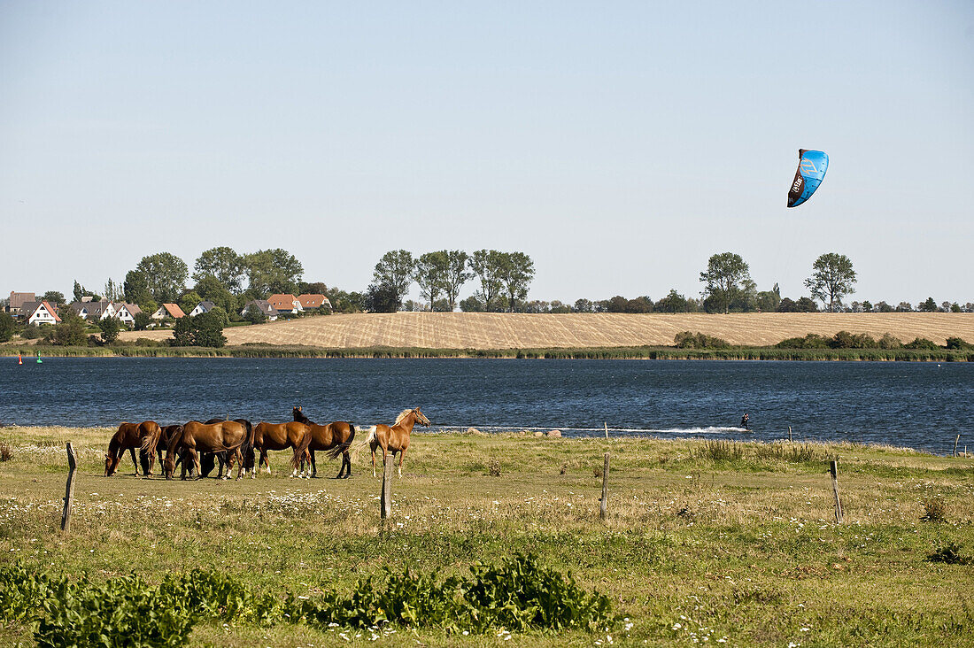 Kitesurfer in der Mecklenburger Bucht, Insel Poel, Mecklenburg-Vorpommern, Deutschland