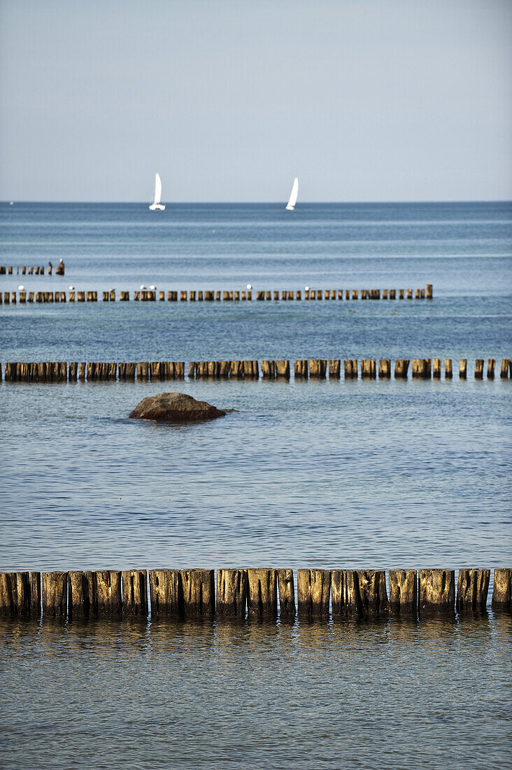 Sailboats in Bay of Mecklenburg, Kuhlungsborn, Baltic Sea, Mecklenburg-Vorpommern, Germany