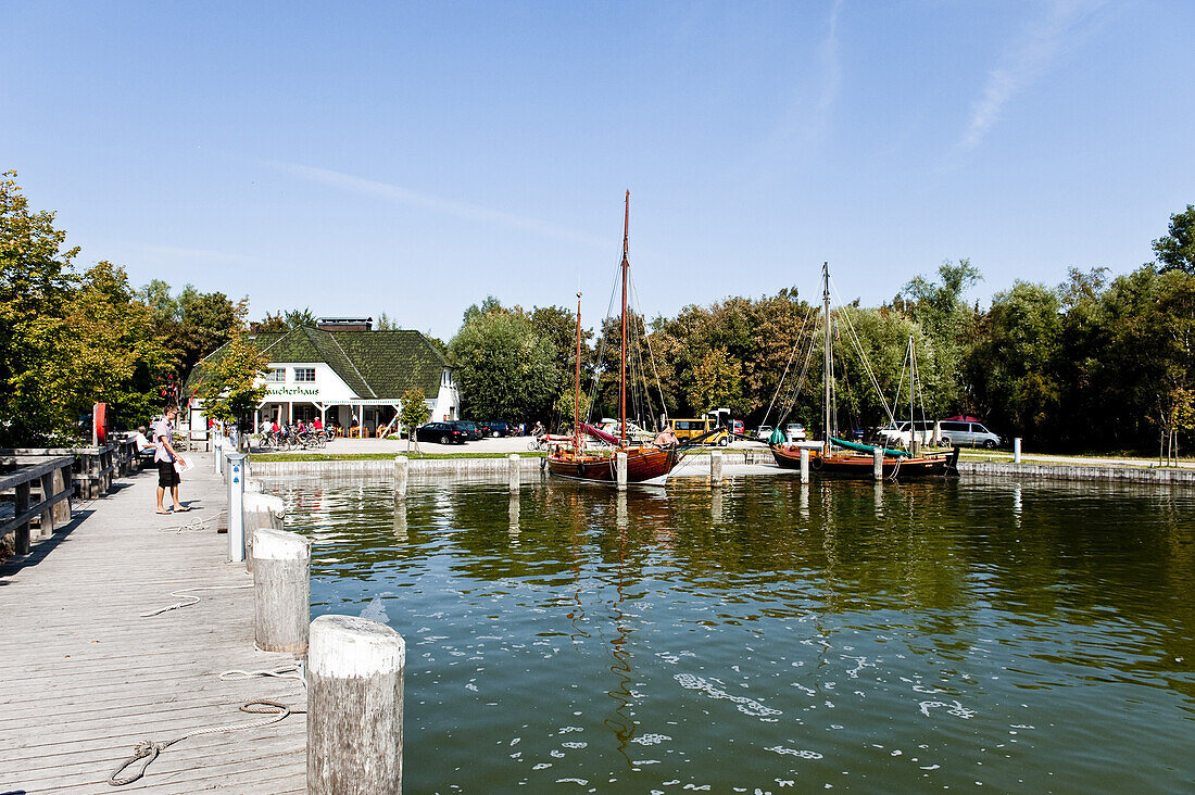 Hafen, Ahrenshoop, Fischland-Darß-Zingst, Mecklenburg-Vorpommern, Deutschland