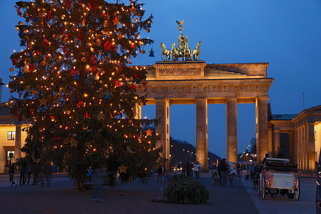 Weihnachtsbaum beim Brandenburger Tor, Berlin, Deutschland