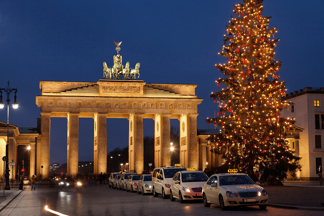 Christmas tree near Brandenburg  Gate, Berlin, Germany