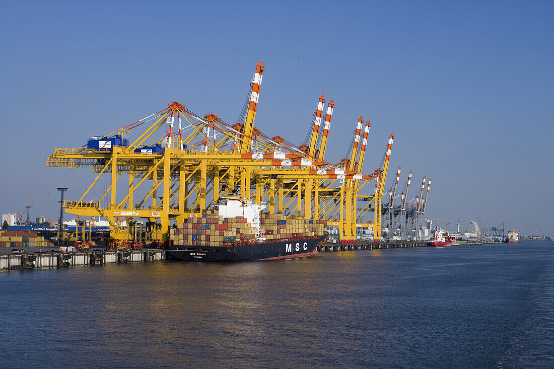 Container Ship MSC Donata and Cranes in Port, Bremerhaven, Bremen, Germany, Europe