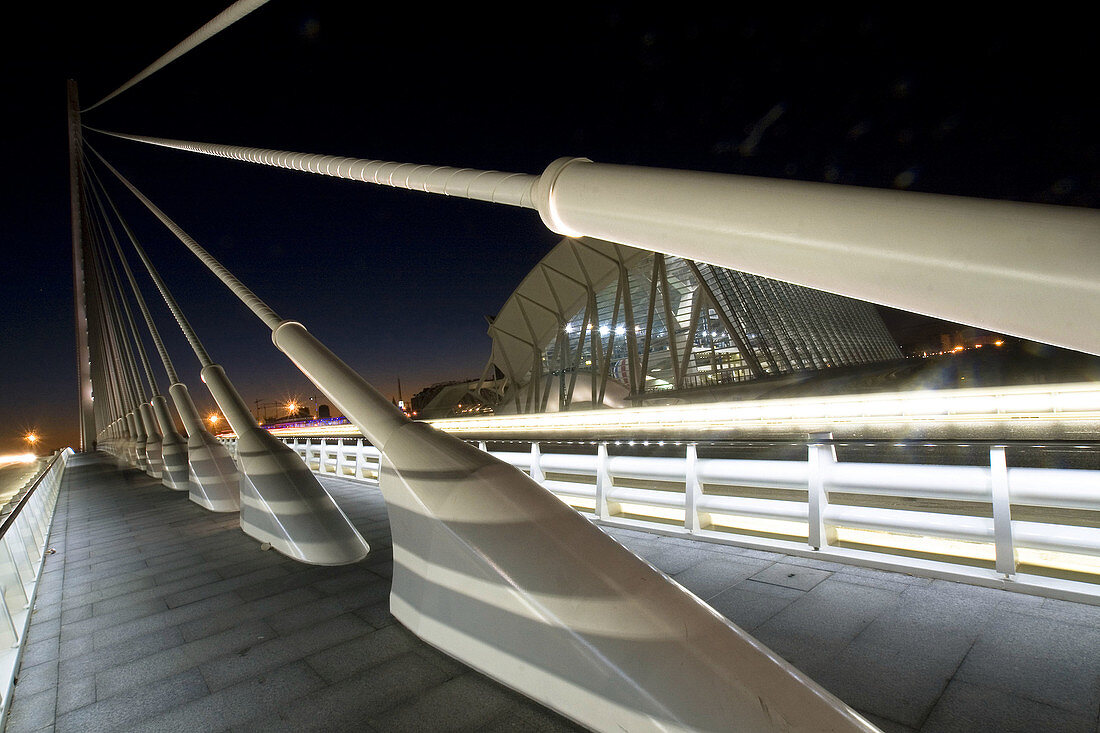 Vista de la Ciudad de las Artes y las Ciencias desde el puente de l´Assut d´Or, Valencia.
