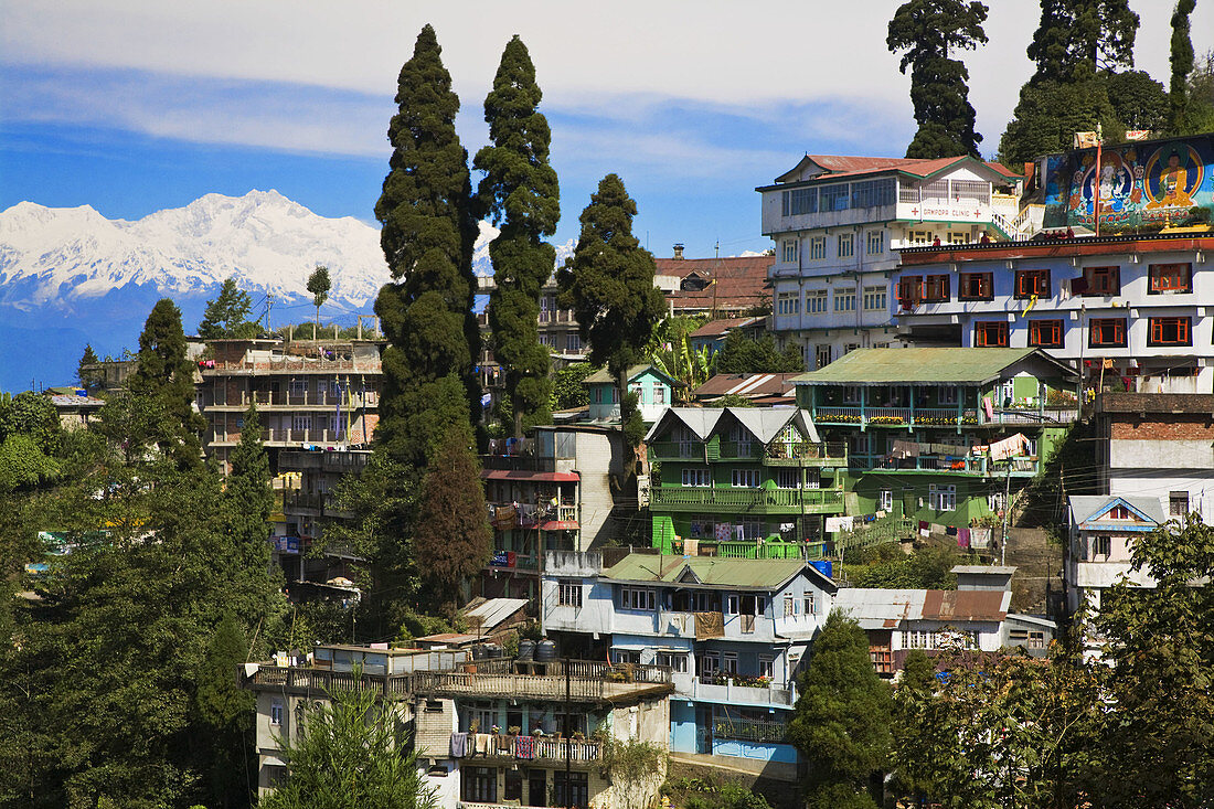 Druk Sangag Choeling Monastery known as Dali Monastery, Darjeeling, West Bengal, India