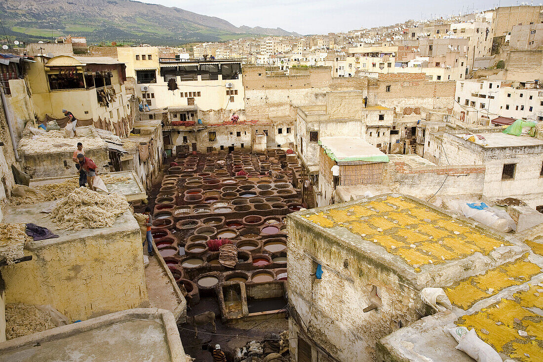 Chouara tannery, high angle view, Medina of Fez, Morocco
