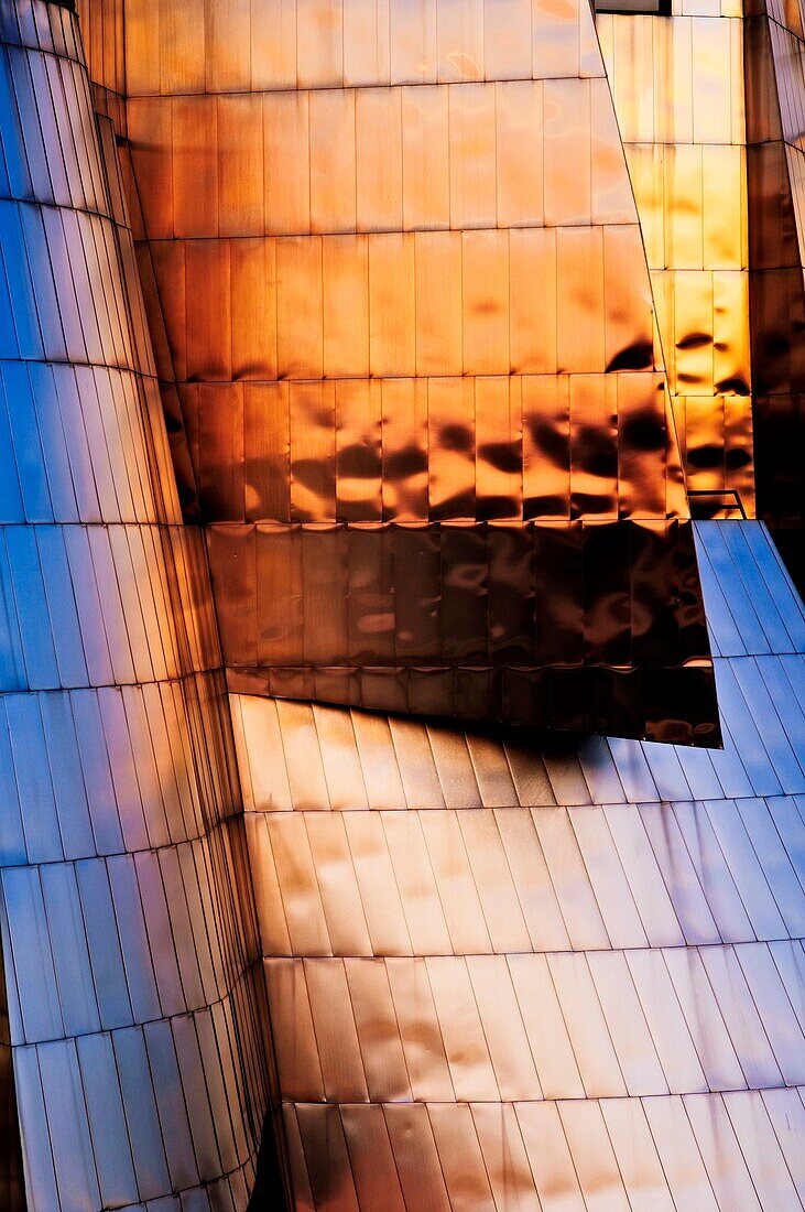 The Frederick R  Weisman Art Museum at the University of Minnesota at sunset  A stainless steel and brick building designed by architect Frank Gehry, the Weisman Art Museum offers an educational and friendly museum experience