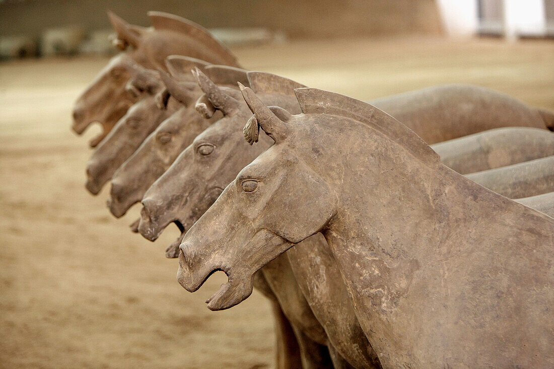 Archaeology, Army, Art, Arts, Asia, China, Color, Colour, detail, details, Head, Heads, Historic, Historical, History, Horizontal, Horse, Horses, indoor, indoors, interior, Mausoleum, Mausoleums, power, Sculpture, Sculptures, Shaanxi, Shanxi, Shensi, Sian