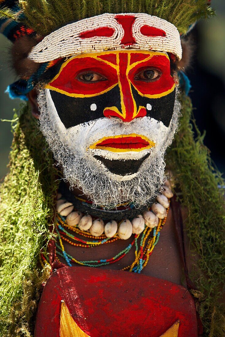Tribu Mendi en el Sing Sing de Paiakona, 1Mount Hagen, Tierras Altas Occidentales, Papua Nueva Guinea, Papua New Guinea