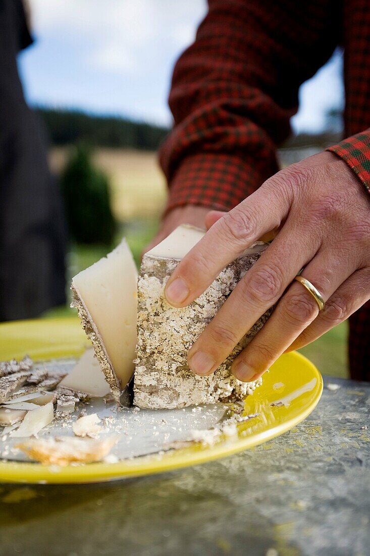 CHEESE, PICNIC, FRENCH FOOD