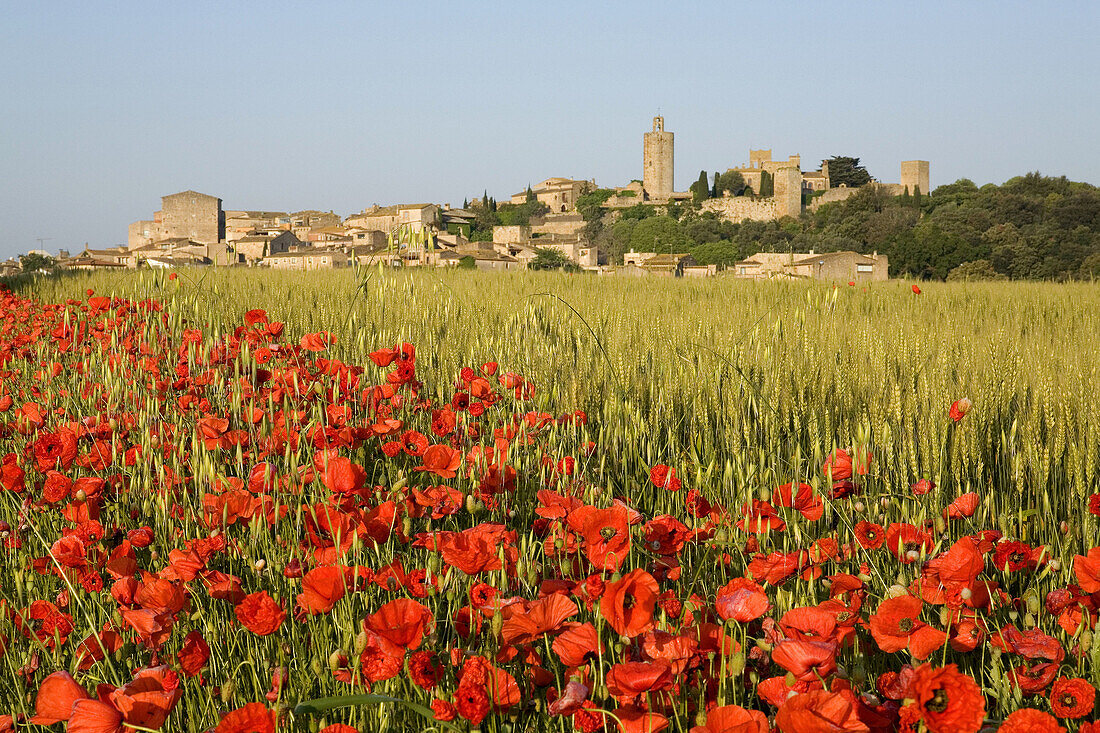 Spain. Cataluña. Girona. Costa Brava. Baix Empordà. Pals panoramic view.