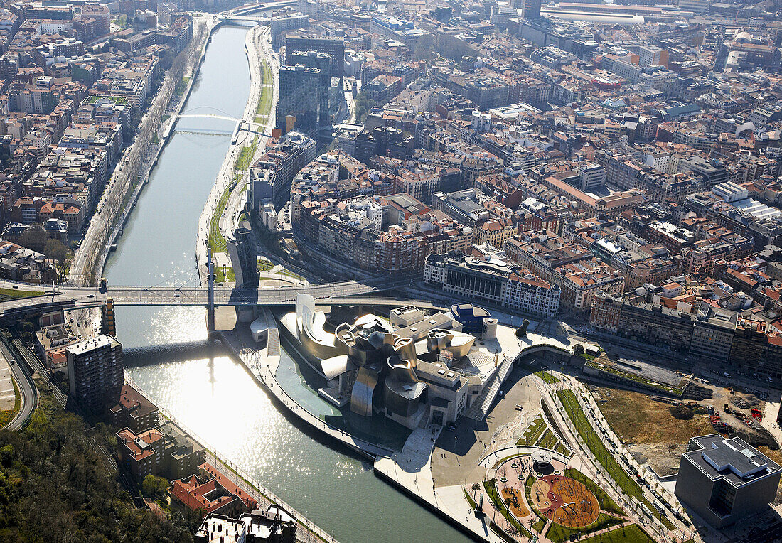 Guggenheim Museum, Bilbao, Biscay, Basque Country, Spain