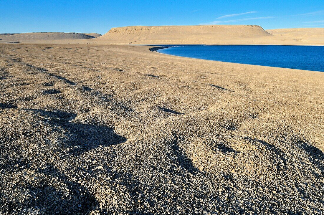 arctic desert landscape at Erebus and Terror Bay, Devon, Beechey Island, Northwest Passage, Nunavut, Canada, Arctic
