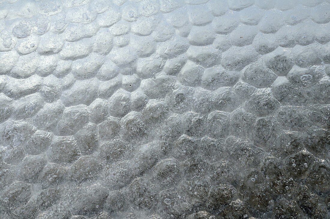 texture on glacier ice, Crocker Bay, Devon Island, Northwest Passage, Nunavut, Canada, Arctic