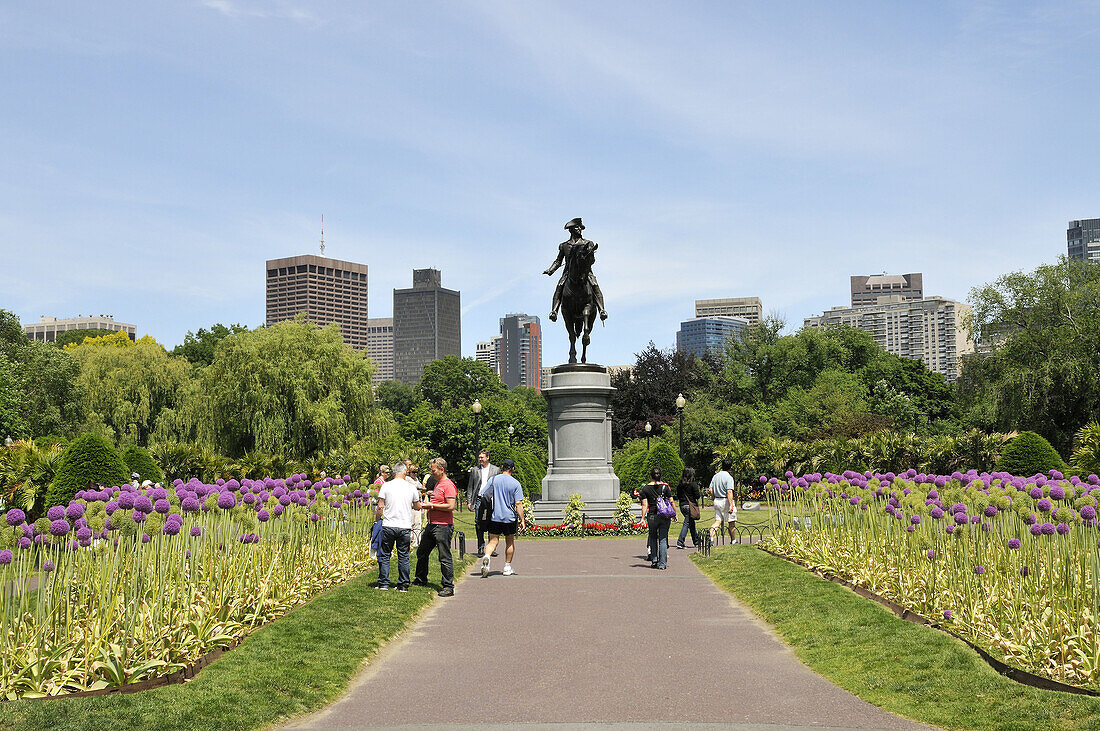 Boston Public Gardens with Giant Allium in bloom, statue of George Washington and city skyline