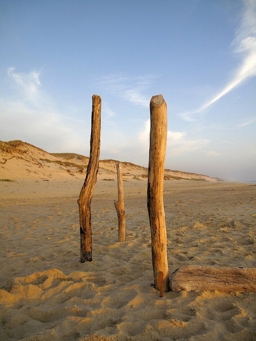 Sunset over three wooden posts pushed into the sand on a beach on the west coast of France