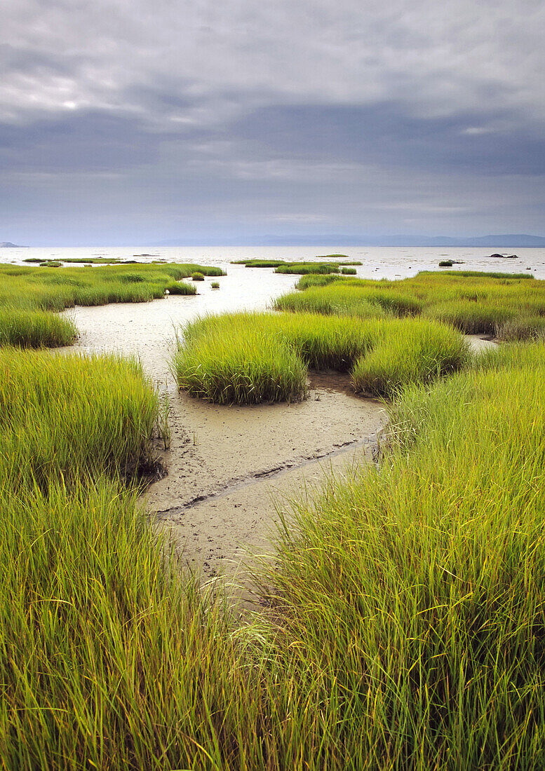 Low-Tide