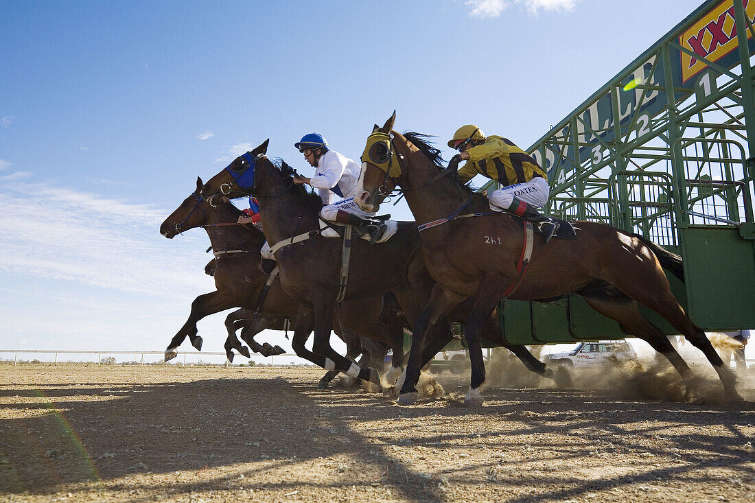 Horse racing in the Australian outback at the annual Birdsville Cup Races  Birdsville, Queensland, Australia