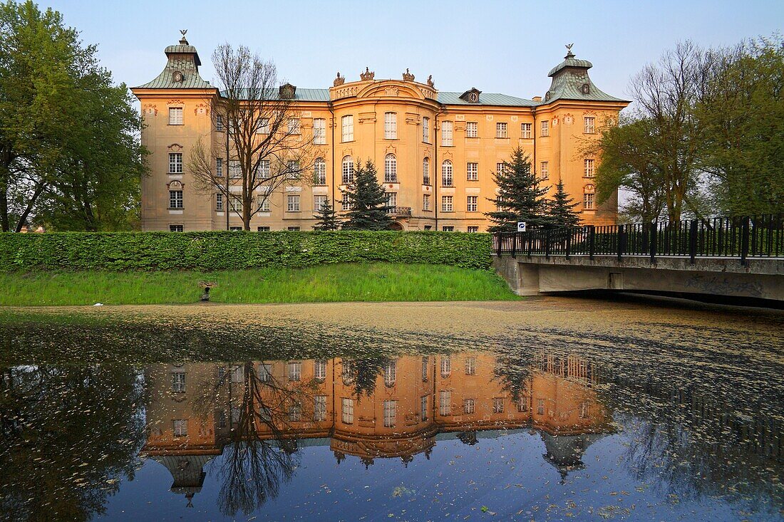 Castle, Rydzyna, Wielkopolska, Poland