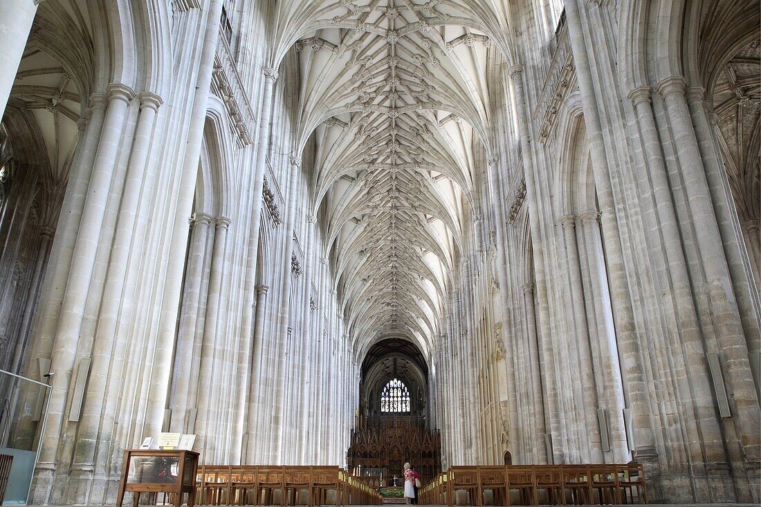 Nave, Winchester Cathedral, Hampshire, England