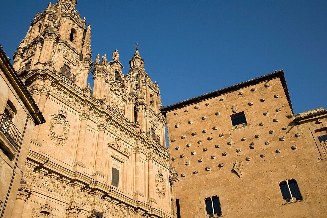 Casa de las Conchas House and Real Clerica de San Marcos, Univeristy of Salamanca, Castile and Leon, Spain