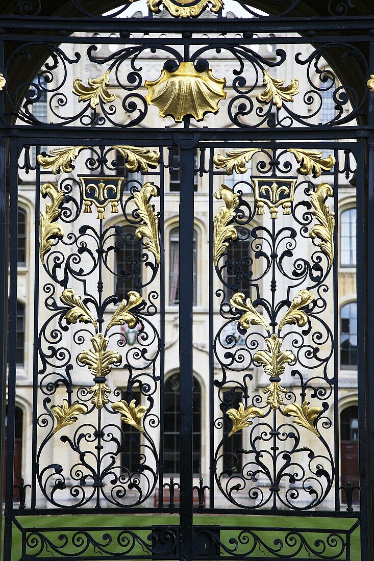 Gate to University Church of St Mary the Virgin, Oxford Univeristy, Oxford, England, UK