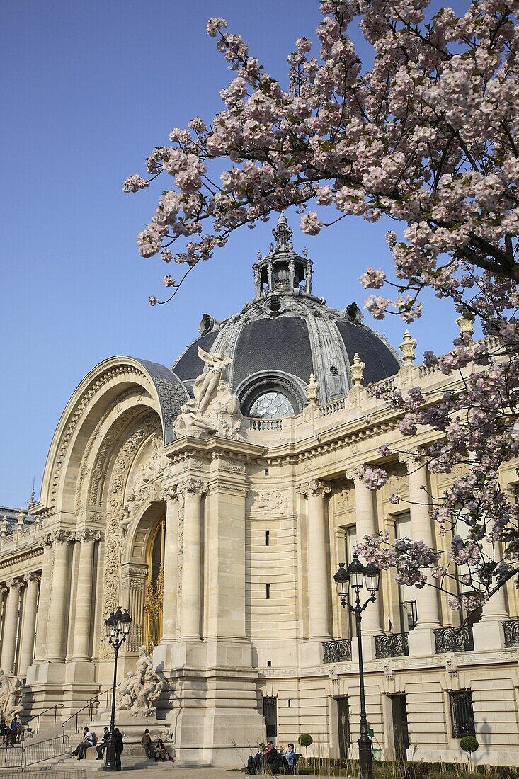 Petit Palais Palace, Paris, France