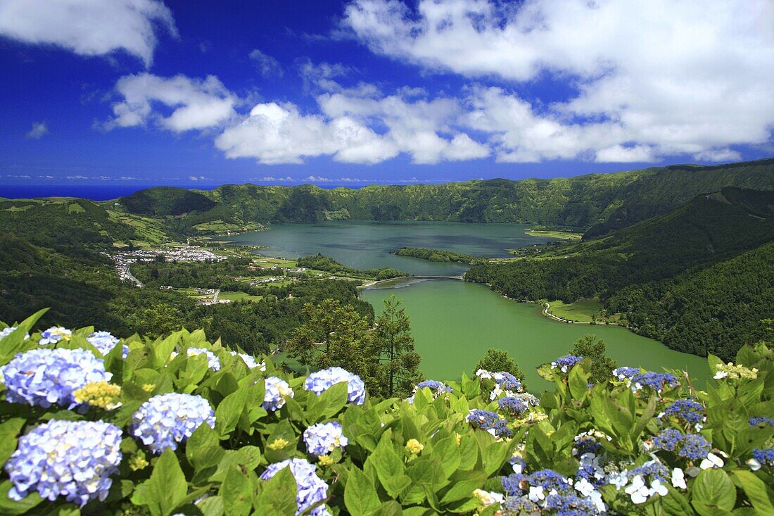 Sete Cidades crater and the twin lakes, with hydrangeas on the foreground  Sao Miguel island, Azores islands, Portugal