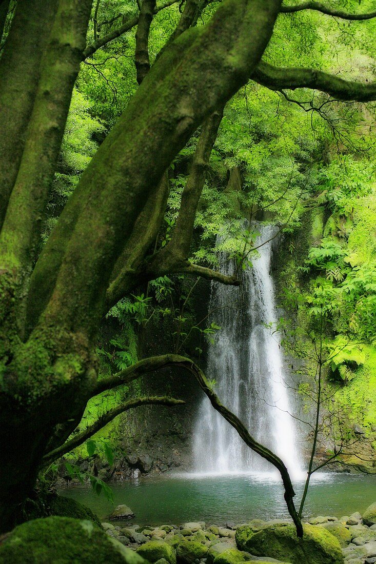 The Salto do Prego waterfall, near the village of Faial da Terra  Sao Miguel island, Azores, Portugal