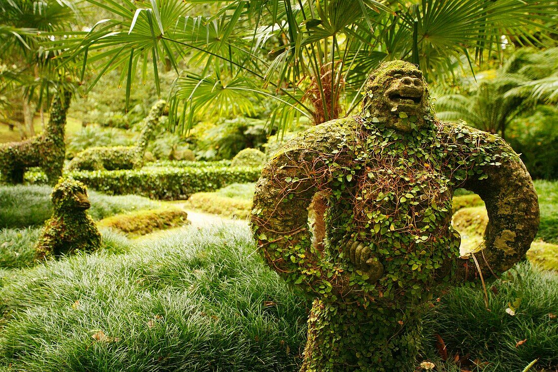 Unusual ´animals´ in Terra Nostra Park  Sao Miguel island, Azores, Portugal