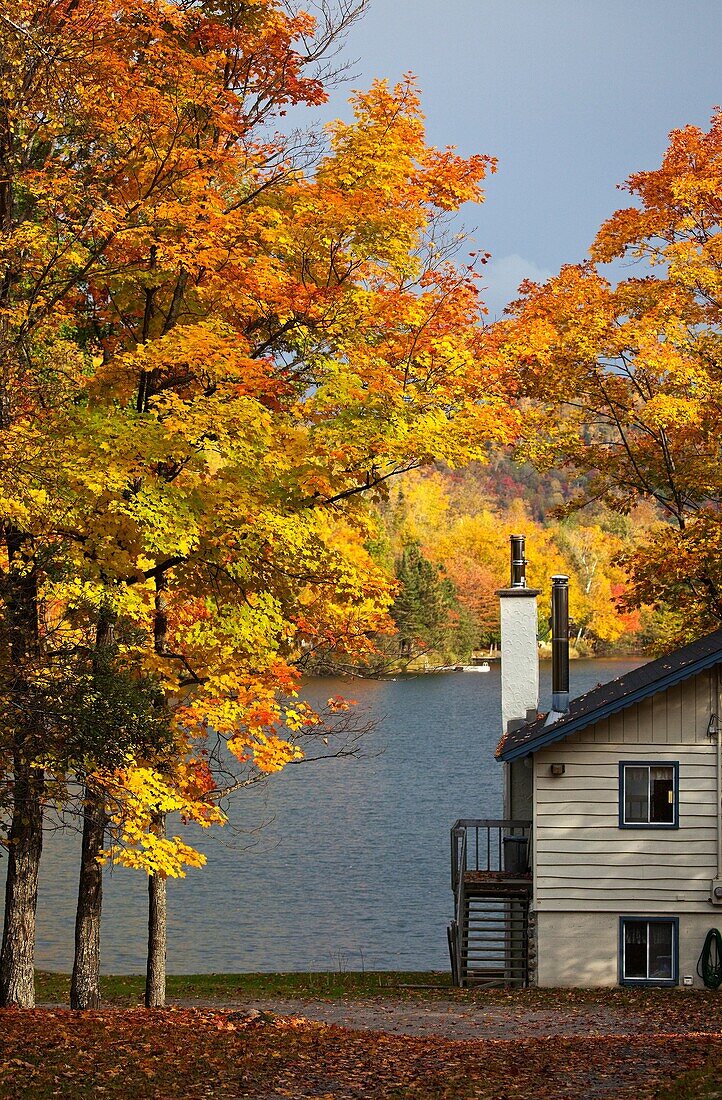 Autumn Scenery in Canada