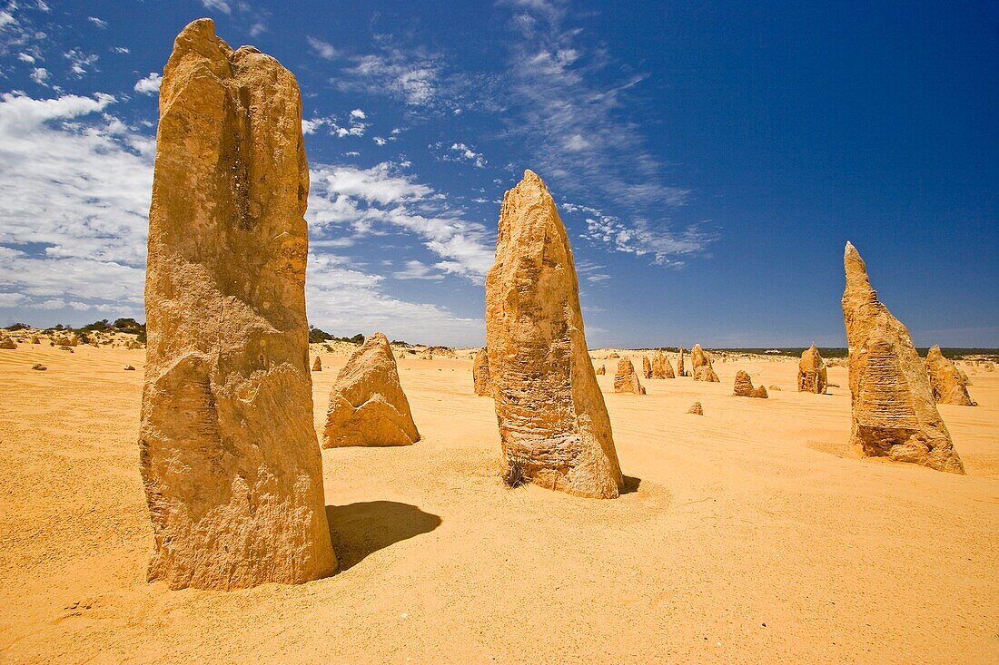 The Pinnacles, Western Australia