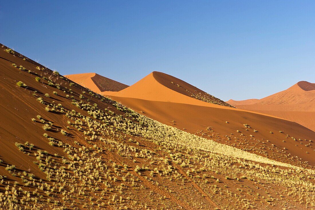 Namibian Landscape