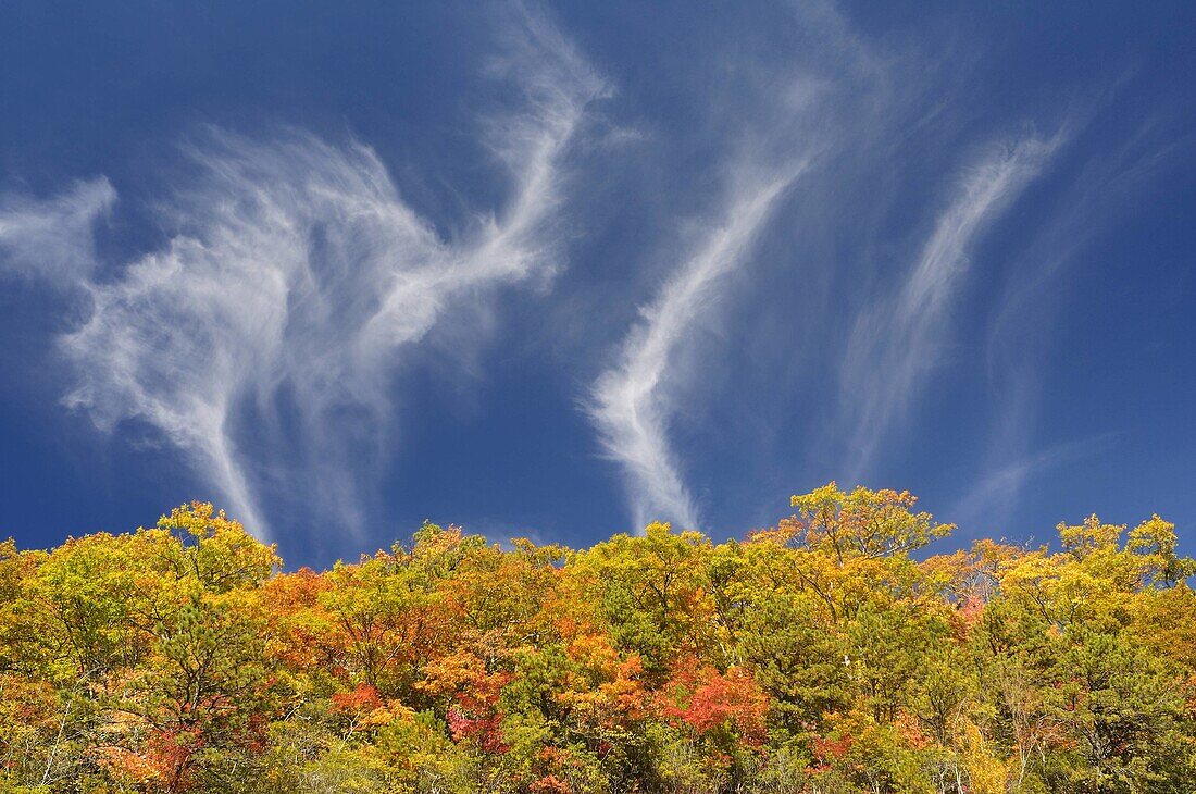 Three clouds perfom a dance on Blue Ridge Parkway in early October at peak fall color