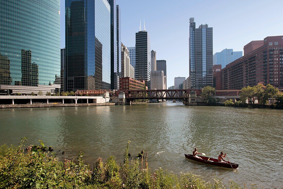 Canoeists along river in downtown Chicago